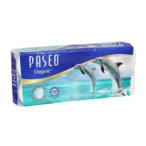 Paseo Elegant 10s 4ply
