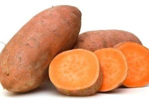 sweet potato
