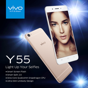 vivo Y55 Hi-Fi & Smart (2 colors)