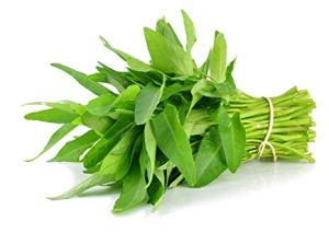 kangkong 
