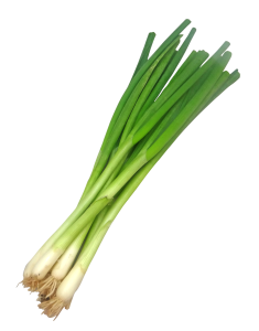 spring onion