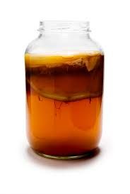 Kombucha R&B