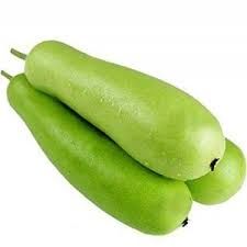 bottle gourd 