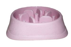 Pet Bowl 