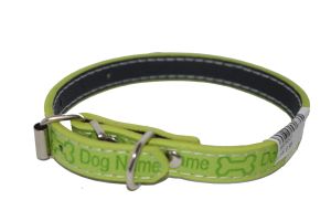 Pet belt Colar