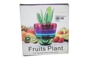 plants kitchen 