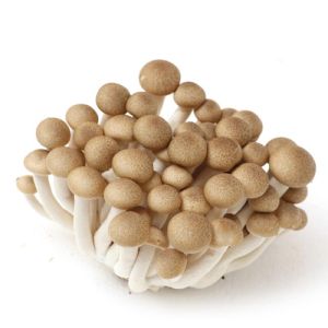 蟹味菇 40X150g brown mushroom beech 40X150g