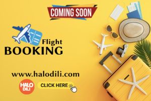 Online Flight Booking
