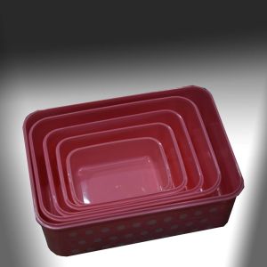 Food Container 5in1
