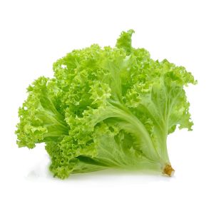 lettuce
