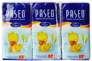 Paseo Elegant Bathroom 6s