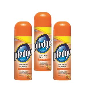 PLEDGE AE 170G ORANGE