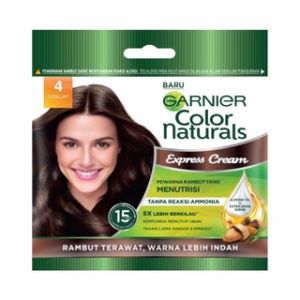 Garnier Color Sanchet 4