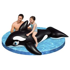 Intex Black Dolphin Swimming Pool