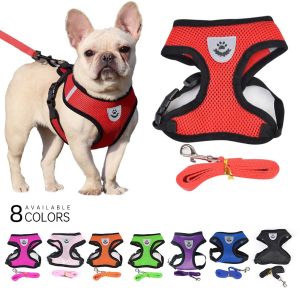 Pet chain Strap 