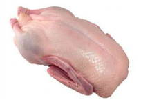 PATO CONG < 1800KG FROZEN DUCK