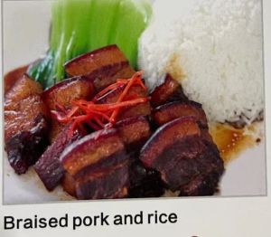 braised pork and rice红烧肉饭