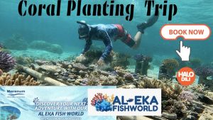 Coral Plantation Trip