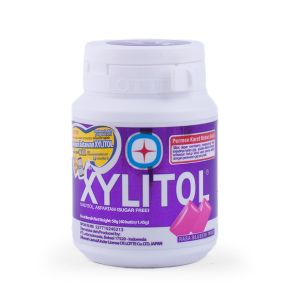Xylitol rasa Blueberry Mint 58g