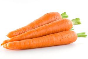 carrot