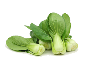 Bokchoy