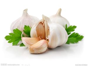 garlic