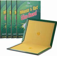 Mouse & Rat glue board