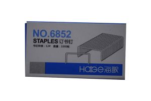 Staples Haige (small)