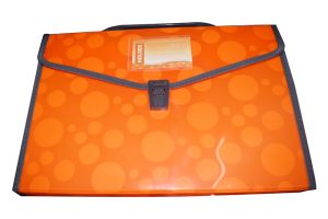 Tranbo Expanding File#CS12F