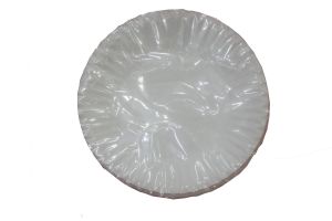 Paper Plate 50s for events