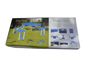 Picnic Table ( foldable)
