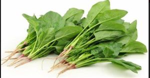 ESPINAFRES PINGO DOCE 400G