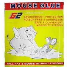 Mouse Glue Traps Hui Fa