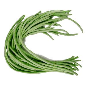 long  green bean