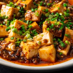 mapo tofu 麻婆豆腐