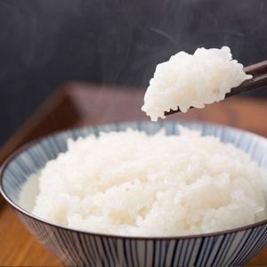 plain steam rice 白米饭