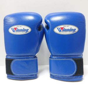 20708TY-52 Boxing Gloves 80Z