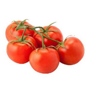 fresh tomato 