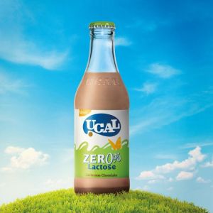 Leite Achocolado ucal 0% Lactose Garrafa 250ml