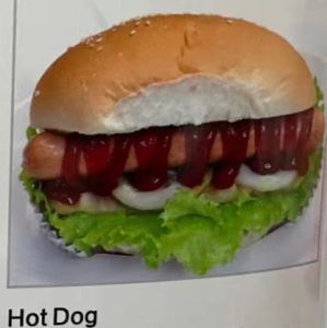 hot dog 热狗  A08
