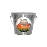 Wax works tropical strength wind  resistant natural mozzie repellent bucket candle