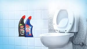 Toilet cleaner 